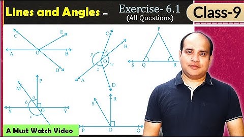 Lines and Angles Class 9 | NCERT Chapter 6 Exercise - 6.1 (All Questions) | CBSE