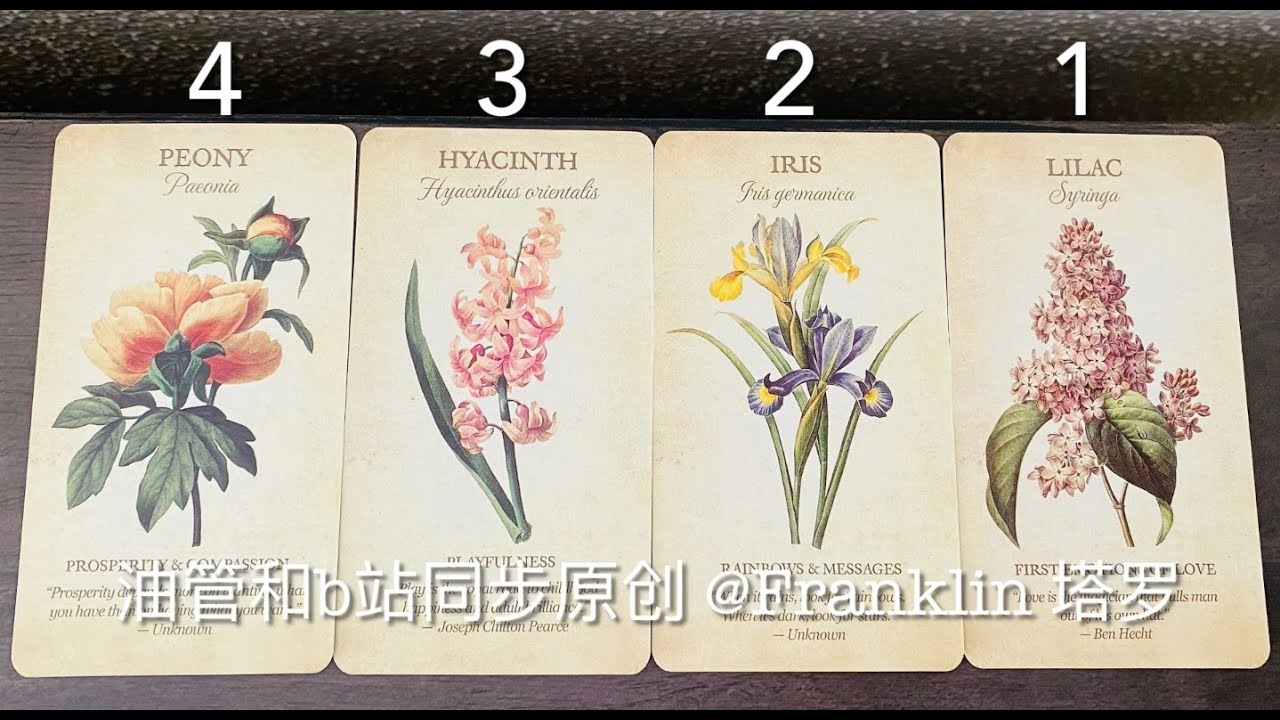 🥰 😈  你的下一段恋情 (TIMELESS)