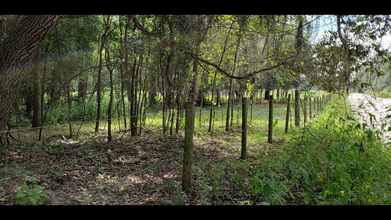 10 Acres of Land For Sale in Hudson Florida on Family Trail YouTube
