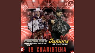 La Plebada (feat. Los Caimanes De Sinaloa)
