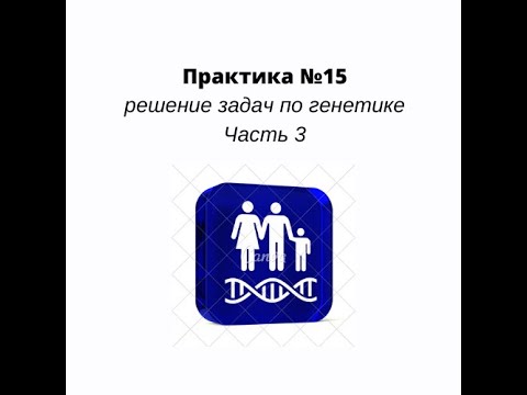 Практика 15 Часть  3 Решение задач по генетике пола