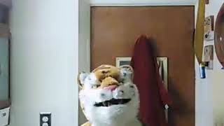 Tiger man sings Yankee doodle