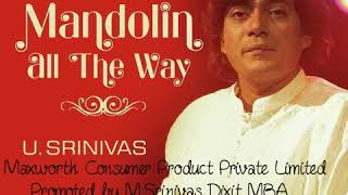 Mandolin U Srinivas | Ragasudharasa | Andholika
