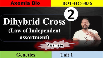 Dihybrid cross|Law of independent assortment| 3rd Sem | GU| Dr. Rajib Borah| Assamese| Axomia Bio