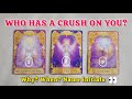Hindi●😍WHO HAS A CRUSH ON YOU?😍●🌈PICK A CARD●🎯TIMELESS