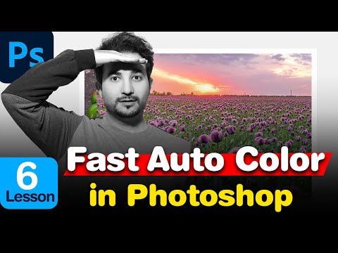 What Does Auto Contrast Do In Photoshop