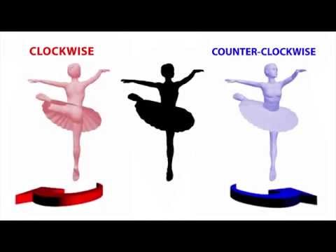 Reversible Image Illusion Explained with Animation