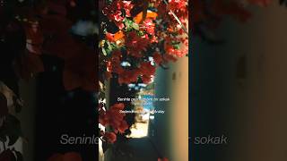 Seninle Gezmediğim Bir Sokak Var Içimde Resimi