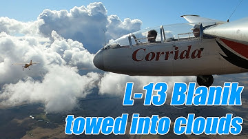 LET L-13 Blanik glider flight training - stall recovery [RL]
