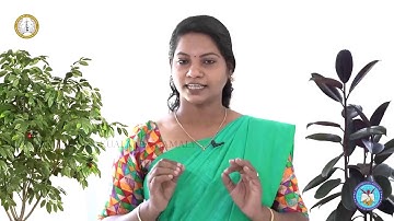 Thamarassery| Online Catechism| Class 4 | Chapter 11 | Part 1