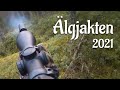 Älgjakten 2021 | Skjuter min första älg