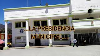 Domingo De Plaza En Bochil..