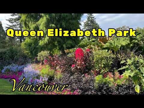 Video: Kraliça Elizabeth Park Vankuver Bələdçisi