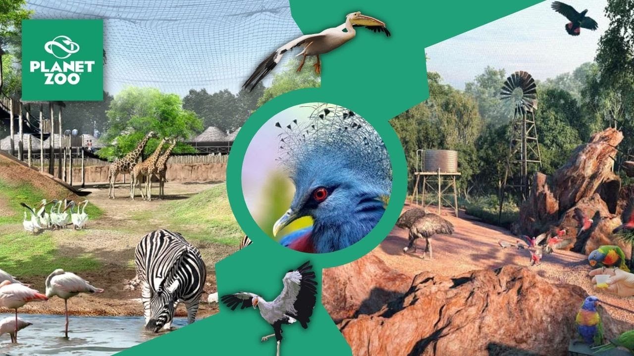 Aviary Concept Art makes us want Birds even more | Planet Zoo