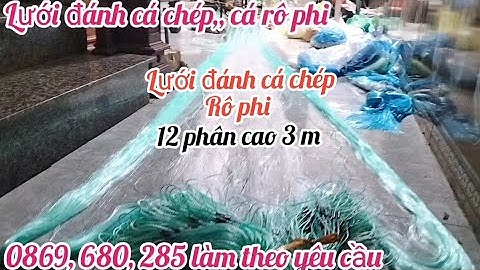 lưới đánh cá chép - lưới đánh cá rô phi - lưới đánh cá 3 màn _ lưới đánh cá ao sông Hồ đầm ruộng