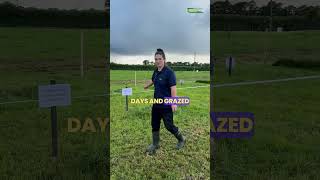 BEEF2026 Open Day - Clover, correct graze outs and soil fertility