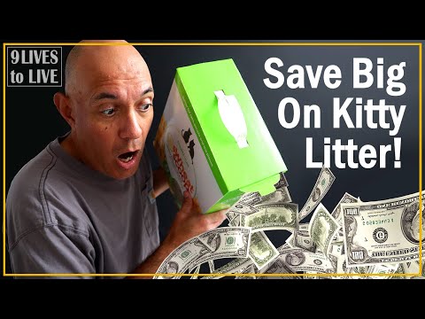 Video: Cat Owner's Guide till Kitty Litter Alternativ