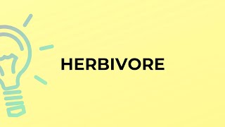What is the meaning of the word HERBIVORE?
