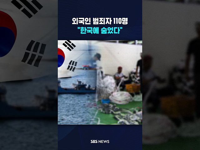한국 찾는 범죄자들? #shorts