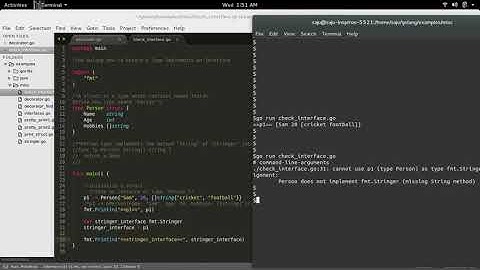 Go Golang How to Ensure a Type Implements an Interface