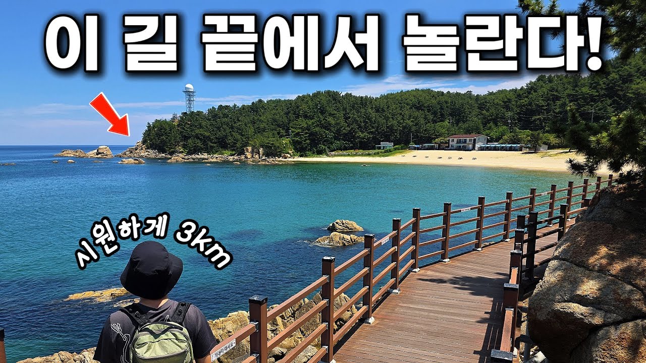 이 길의 끝… 상상도 못한 풍경이 기다린다! | 하조대 전망대 | 3km 바다산책길