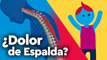 ¿Cómo se siente el dolor muscular de espalda?