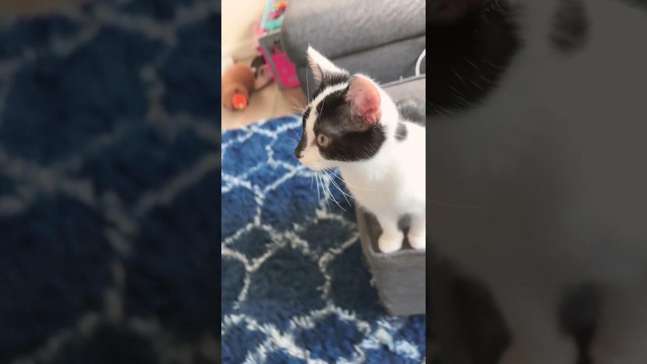 Does it still count or no? 