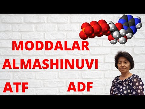 MODDALAR ALMASHINUVI/ATF/ADF/BIOLOGIYA/ONLINE DARS