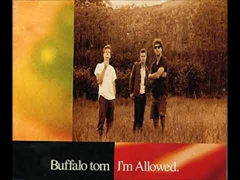 ophavsret lounge Tak for din hjælp buffalo tom - late at night acoustic - YouTube