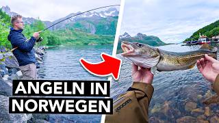 Angeln vom Ufer in Norwegen 🎣 Das musst du als ANFÄNGER wissen 🇳🇴 (Dorsch, Pollack & Co.)