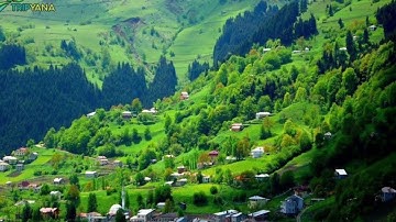 سورة الكافرون بصوت القارئ يوسف نوح أحمد برواية هشام عن ابن عامر Kafirun Suresi#Surah Al-Kafirun#