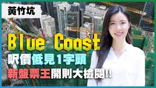 黃竹坑 Blue Coast呎價低見1字頭 首批平同區新盤逾兩成新盤票王景觀、開則大檢閱新盤少見呂字廳 戶戶都轉角大窗