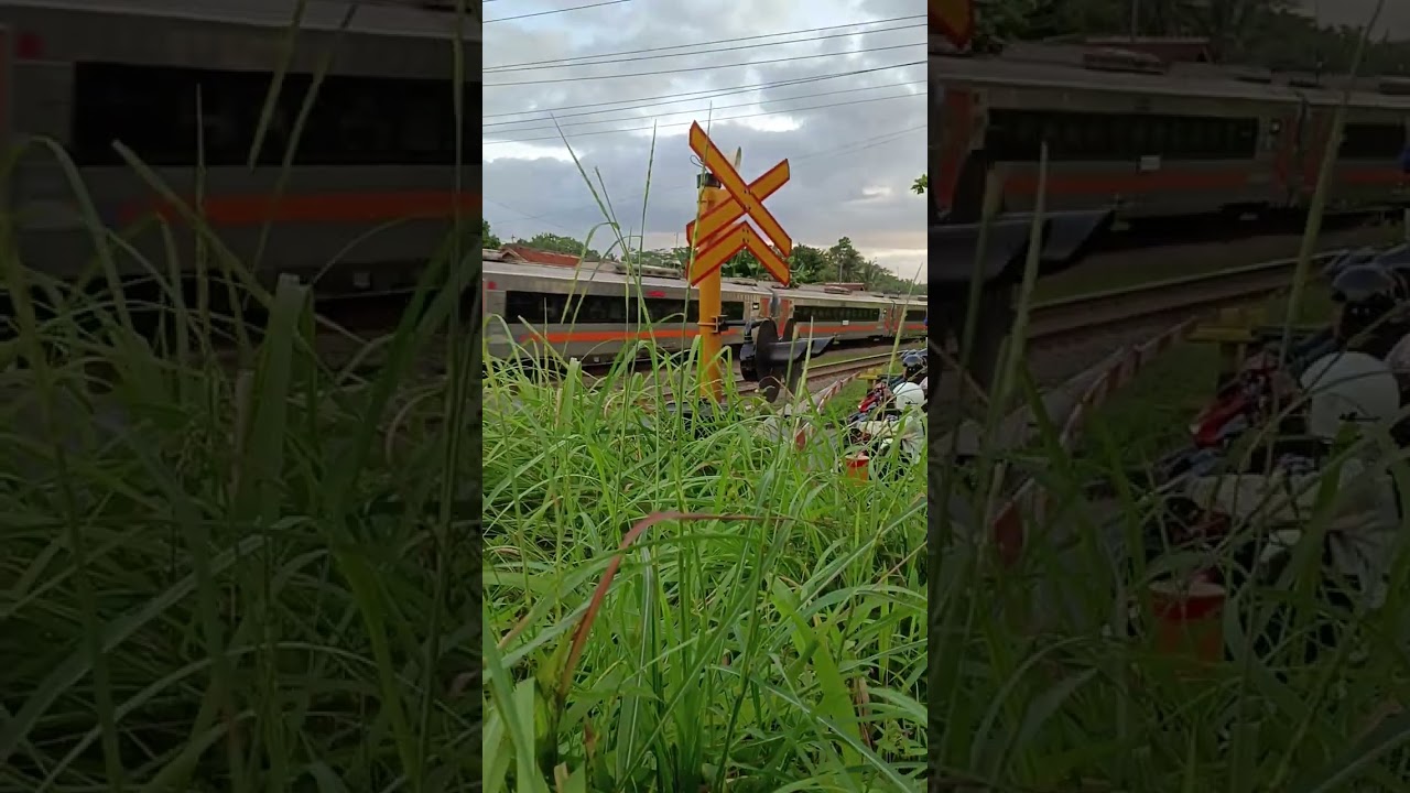 Level Crossing Train Passing