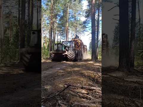 This Truck Carries an Entire Forest 😳🌲 #logging #forest #machines