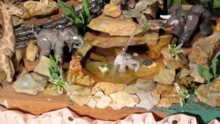 Elephant Bath close-up.AVI