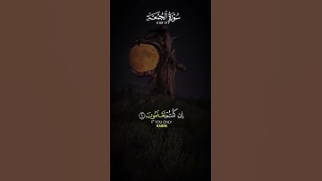 قران الكريم اللهم #آمين #يارب حالات واتساب قران يريح القلب🤲 #الله #الكريم #يارب في يوم الجمعه