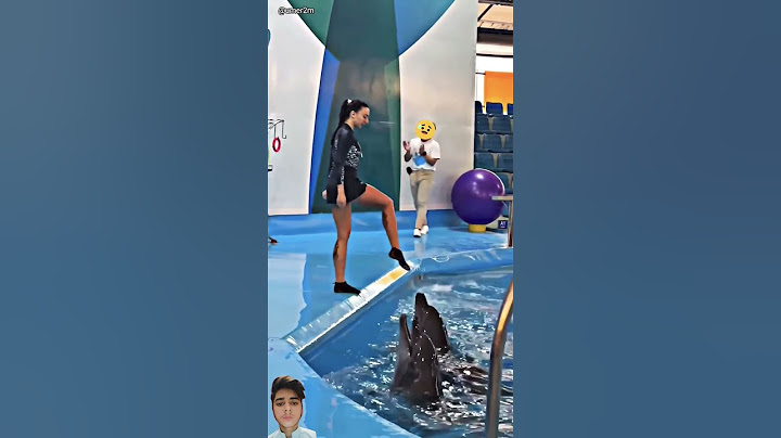 Jab Dolphin trick Me Hui 😨 Gadbad  #shorts #dolpins