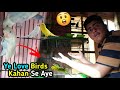 Love Birds Ka Ye Pair Kahan Se Agaya. 🤔🦜 ||Konsay Love Birds Hain Ye?|| 😱 |Unique Birds Vlog|