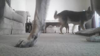 Titan Niki Soup Bone Wait