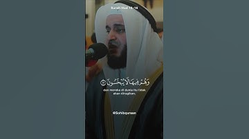 سوره هود 15-16 🥲 | شیخ میشاری رشید #صهیبقرآن