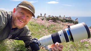 Puffins on Lunga | Bird Photography | Gear Selection &amp; Tips