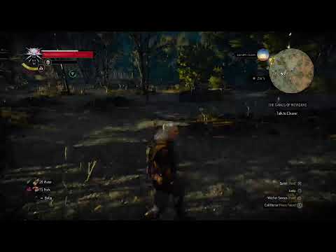 The Witcher 3 Prt 19