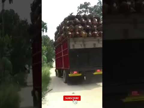 perdana muat jadi