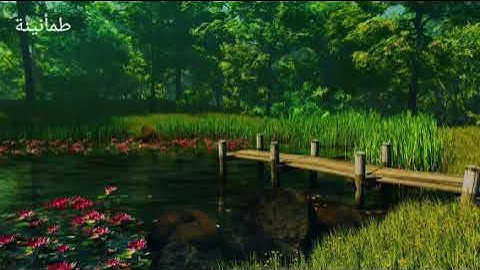 سورة مريم (كاملة) مع أصوات الطبيعة🌳🌲 وزقزقة العصافير🐦 للهدوء والاسترخاء