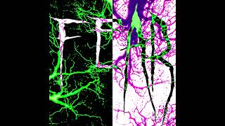 GODIMIRE - FEAR (Slowed)