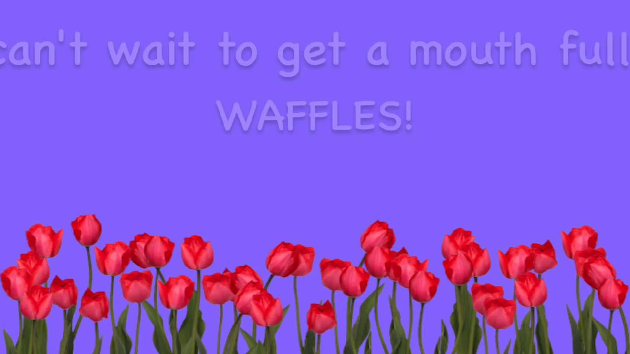 Do you like waffles? lyrics YouTube