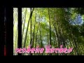 嵯峨野路 岡ゆう子 カバー曲 ayumi888