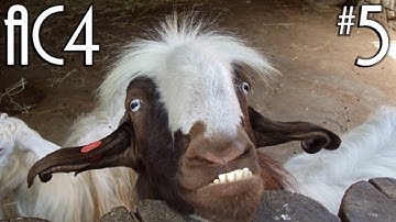 AC4 Trolling #5 - DM w/utriej