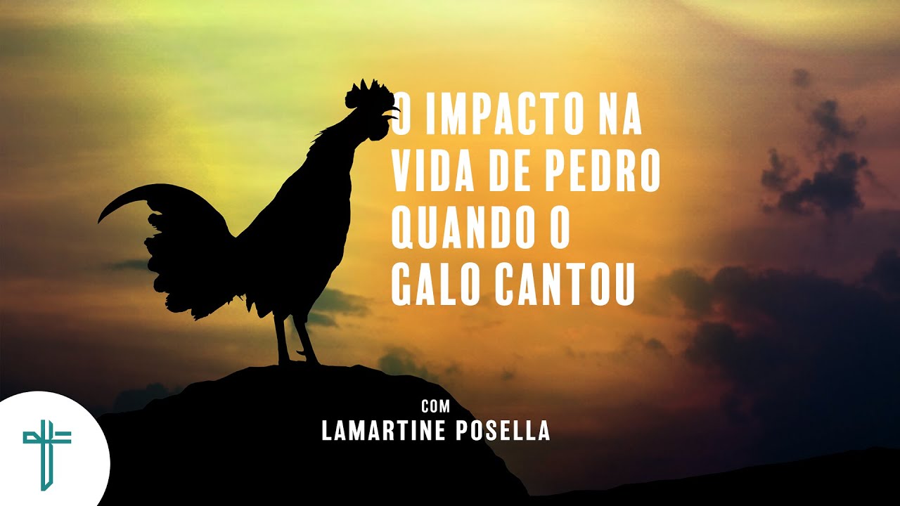 Quando O Galo Canta Fora De Hora O Que Significa