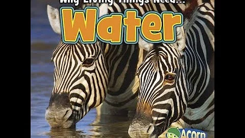 Why Living Things Need Water by Daniel Nunn